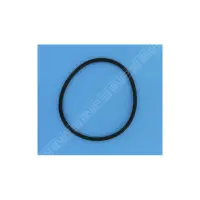 Joint de couvercle 152x7 mm PPE Europa, Glass Plus, Starplus, Superplus, Malawi, Proline, Swimflo HGS