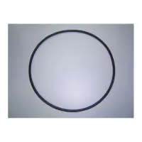 Joint de couvercle de pompe Maxim -D.192x5 (Astral)