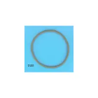 Joint de Couvercle PPE BR 463/65E/Onga 800/Swimmey/Atlas/Nocchi - 146 mm - REMPLACE 111P1060 (STA-RITE)