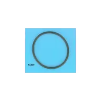 Joint de Couvercle Préfiltre PPE 5BR (STA-RITE)
