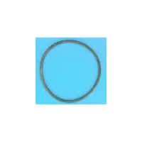 Joint de Couvercle Préfiltre PPE Ultraflow (PENTAIR)