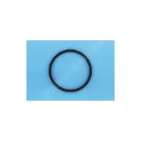 Joint de couvercle viton (BAYROL)