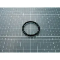 Joint de diffuseur PPE Bering 1.00 CV (Astralpool)