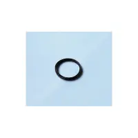 Joint de Diffuseur PPE (Super Pump. Max-Flo. Super II)) -  (HAYWARD)