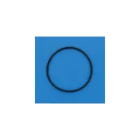 Joint de Diffuseur PPE Whisperflow (PENTAIR)