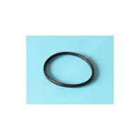 Joint de préfiltre PPE Bering 0.25 à 0.33 CV - Remplace HZS200250NO3 (Astralpool)