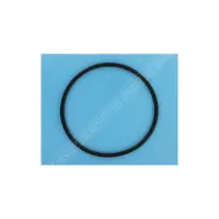 Joint de Verre Projecteur 100W  159.7x6.99 - RPE 050.A (KRIPSOL)