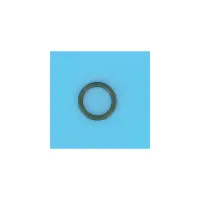 Joint Ecrou de Serrage FILTRE KT Star Clear + -  (HAYWARD)