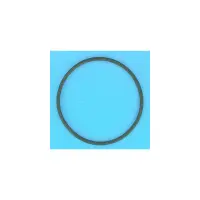 Joint torique 123,2x5,8 mm de vanne 1"1/2 Top Tagelus/Azur 19" et 24" (PENTAIR)
