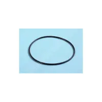 Joint Torique 164,5 x 4,8 mm pour vanne 2" (E-27-2029) TRITON Sup./TAG (PENTAIR)