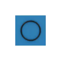 Joint Torique Raccord Union Ø ext 55 mm (Sterilor)
