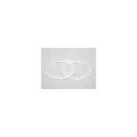 Joints de Bride BR  15839-2'' & BDF  - Inox (ASTRAL)