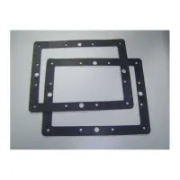 Joints de bride pour Skimmer PM (x2)