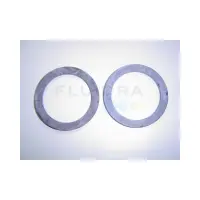 Joints plats (x2) 55x72x3.5 Filtre SAB - Remplace 00544R0106 (ASTRAL)