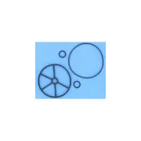 Kit joint étoile de vanne NM 1"1/2 FVT015 Saturne - Remplace PS610301, 4404120107SW, CE04120107, 101D572 (ASTR