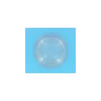 Lentille PROJ Halog. Cofies 100W diam. 169 / entraxe 154 mm (HAYWARD)