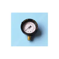 Manomètre 1/4' Filetage NPT VANNE TRITON Sup./TAG/AZUR - H-19-0058 (PENTAIR) - Remplace RU23920
