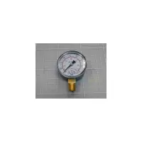 Manomètre 1/4" FILTRE SAB Ø50 (pour adaptateur 101D014) (SNTE)