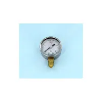 Manomètre pour filtre Triton NEO