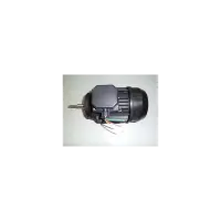 Moteur 0,75 CV Tri