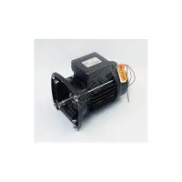 Moteur PPE (Ultraflow, Whisperflow, Superflo) - 0,55 kW Tri - Remplace RA-D3 (PENTAIR)