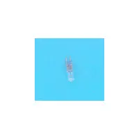 OBSOLETE - Ampoule PROJ Pisc. Hors-Sol - Halog. 50W (ASTRAL)