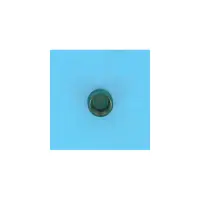 OBSOLETE - Bouchon de Vidange FILTRE SAB (GM140, S0200S) (HAYWARD)