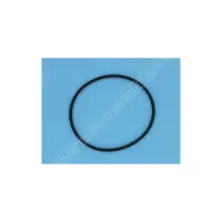 OBSOLETE Joint de Corps  PPE HGS/HGV (HYDROSWIM) REMPLACE PAR 145.051