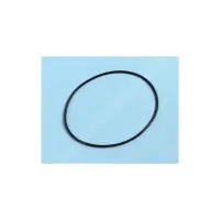 OBSOLETE - Joint de couvercle D. 170 x 4 mm Filtre Bering / Bali - Voir R250001
