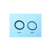 OBSOLETE - Joint de diffuseur 56x60x2 pour PPE Europa, Niagara, Discovery - Remplace HD021040, 20000R1211 - Re