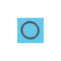 OBSOLETE Joint de Traversée FILTRE SAB NG Polyester  - 1"1/2 (HAYWARD)
