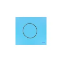 OBSOLETE - Joint Torique Couvercle 6" Filtre Top Titan/Galatic (SNTE) - Remplacé par 50052A