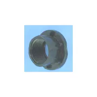OBSOLETE Raccord union PPE HG 2"3/4 x 50 À visser (HYDROSWIM)