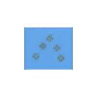 OBSOLETE Rondelle vis fixation préfiltre PPE Astral Glass 1"1/2 et 2" (ASTRAL)