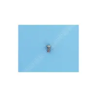 OBSOLETE Vis inox 8x16 Giordano