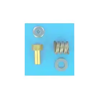 Ressort Collier de Fermeture FILTRE DE (Clean & Clear+. FNS+) - avec Ecrou Cylindrique (PENTAIR)