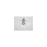 Ressort VANNE NM 1''1/2 + joint + rondelles - Remplace 101D533, CE04121103, PS610109, 19028-0205