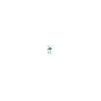 Robinet eau chaude - Remplace 43119A (GIORDANO)