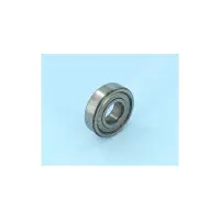 Roulement 6205ZZ PPE Maxi 15-20/ND24-28 (PSH)