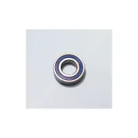 Roulement inox 316L 62x30x16