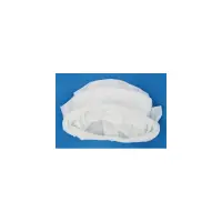 Sac filtrant standard 70µ pour robot Wave 50/100, 2X2