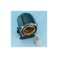 Stator PPE Silver 12M (ESPA)