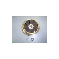 Turbine 10 HP (Bronze) Ppe Colorado (Astral)