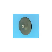 Turbine PPE 5BR - 1.10 Kw Mono (STA-RITE)