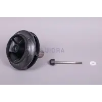 Turbine PPE Kivu 10 CV (60 Hz) (Astralpool)