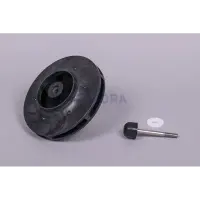 Turbine PPE Kivu 4.0 CV (60 Hz) (Astralpool)