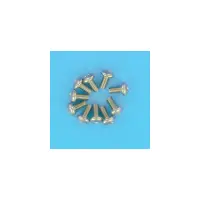 Vis 10.32X10Mm Pour Capot Bleu (x10)