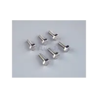 Vis bouche inox