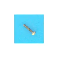 Vis de Disque Centreur FILTRE DE Perflex -  (HAYWARD)