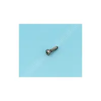 Vis de régulateur 4.6 x 23L de Skimmer (PENTAIR)